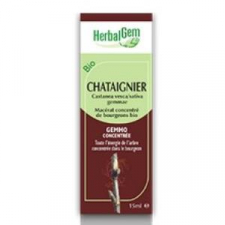 Castaño Macerado Glicerinado 50Ml.