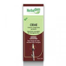 Olmo Campestre Macerado Glicerinado 50Ml.
