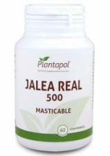 Jalea Real 565Mg. 60 Comp Masticable - Plantapol