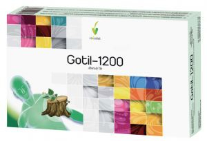 Gotil 1200 20Amp. - Novadiet