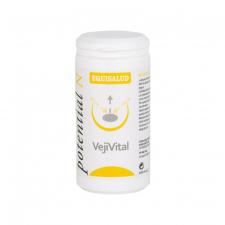 Equisalud Biotisana Intestinal 15 Pirámides