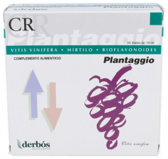 Plantaggio Cr