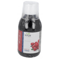 Sotya Arandano Rojo Concentrado 250 Ml. (Equivalente A 2,5L)